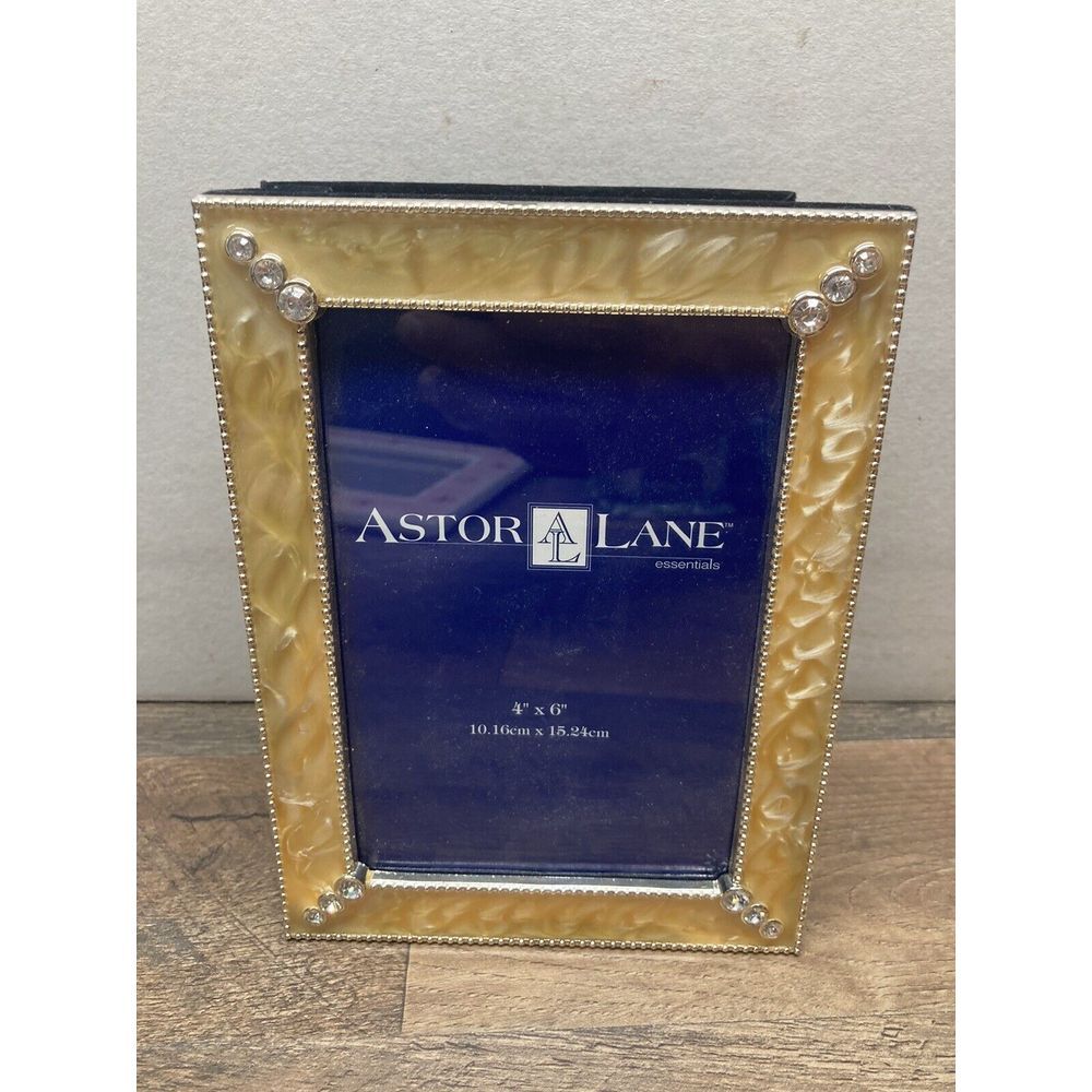 Astor Lane 4" X 6" Mini max Photo Album